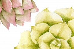 Watercolor succulent clipart Product Image 3