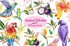 Tropical summer bird watercolor clipart illustration Product Image 1