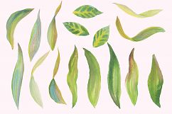 Floral Design Pack (watercolor &amp; pastel) Product Image 10