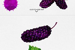 Watercolor Fruits Vol. 3 Product Image 10