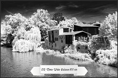Infrared Monochrome Master Profiles LR7.3 ACR10.3 Product Image 6