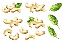 Cashews bundle. Watercolor Product Image 2