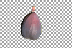 Watercolor Fig clip art pack,common fig leaves, fig fruit Product Image 9