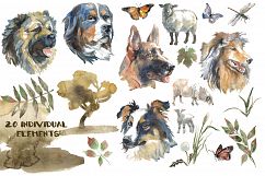 Shepherd dogs watercolor set Product Image 2