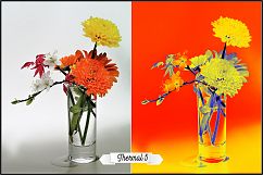 Thermography Infrared Profiles LR 7.3 ACR 10.3 Product Image 12