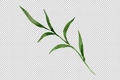 Wildflower lemon lily PNG watercolor set Product Image 4