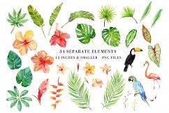 Tropical Botanicals Watercolor Set Product Image 2