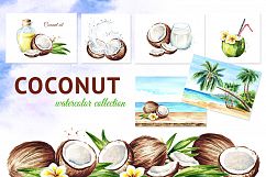 Coconut. Watercolor collection Product Image 1