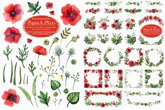 Poppies and wild plants Product Image 1