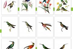 Entire Vintage Collection -Over 1000 Illustrations Product Image 27