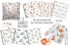 Cute forest Animals. Patterns + Wreaths Product Image 2