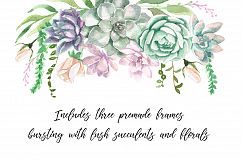 Watercolor Succulents and Greenery Product Image 6