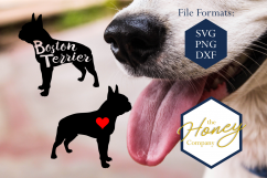 Boston Terrier SVG PNG DXF Dog Breed Lover Cut File Clipart Product Image 1