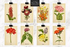 Antique Fruit &amp; Flowers Graphics Product Image 6