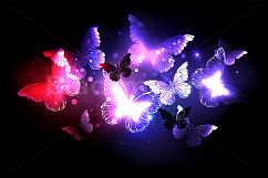 Swarm of Night Butterflies Product Image 1