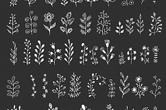 Hand drawn herbs and branches Product Image 3
