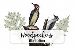 Birds - Vintage Woodpeckers Product Image 1