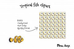 Tropical fish set Product Image 3