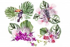 Hand Drawn Watercolor Tropic 3 Product Image 6