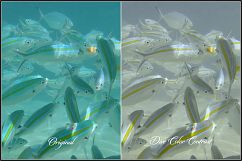 Dive Fix &amp; HDR LUTs Product Image 7