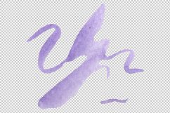 Flowers set PNG watercolor   Product Image 12