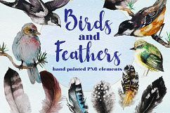 Birds And Feathers Hand Painted Watercolor Clip Art Set Product Image 1