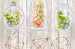 Succulents &amp; Cactuses Product Image 5