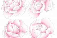 Koala clipart Product Image 5