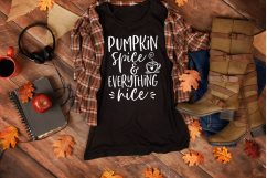 pumpkin spice and everything nice svg, latte, fall svg, dxf Product Image 3