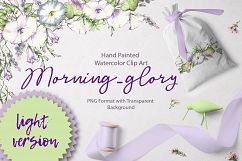 Morning-Glory light version Product Image 1