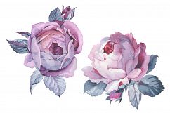 Two pink roses PNG watercolor set Product Image 1