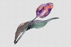 Wildflower autumn tulips PNG watercolor set Product Image 4