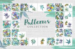Watercolor cannabis PNG leaves set Product Image 4