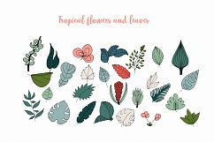 Exotic and Tropical leaves Product Image 3