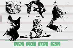 Cat SVG Product Image 1