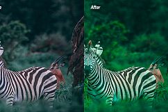 Mixed Bundle - 2018 Lightroom Presets Product Image 10