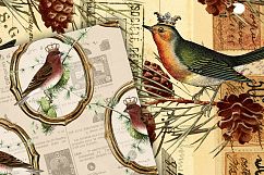 Vintage Christmas Birds Digital Paper Product Image 2