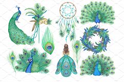Peacock Clipart Images by Whimseez Product Image 2