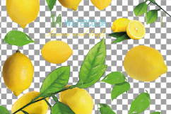 Watercolor lemons, branch and leaves clip art pack, watercolor lemon clip art, exotic fruit, png, pdf, jpg, svg, eps, vector files included. Product Image 11