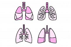 Lung icon set line color vector Product Image 1