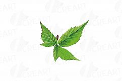 Watercolor Blackberry, branch and leaves clip art pack Product Image 3