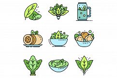 Spinach icon set line color vector Product Image 1