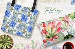 Succulents cactus PNG watercolor Product Image 5