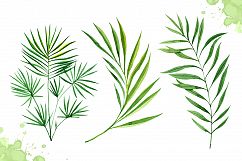 Watercolor tropical leaves set#2 Product Image 5