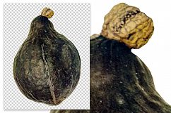 Hubbard Gourd Squash Product Image 2