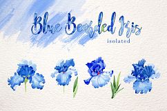 Blue bearded iris PNG watercolor set Product Image 8