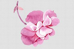 Begonia flower plant PNG watercolor set Product Image 2
