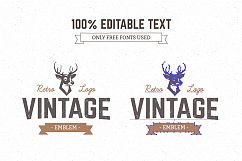 Logo Maker | Retro Emblem Generator Product Image 4