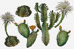 Succulents and Cacti Watercolor Clip Art Set Product Image 7
