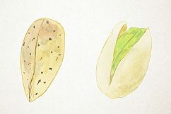 Watercolor Nuts Clipart, Nuts Clip Art, Pistachios Clipart Product Image 4
